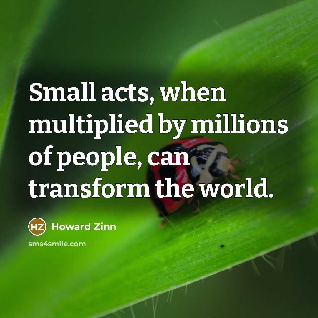 “Small acts, when multiplied by millions of people, can transform…” quote by Howard Zinn