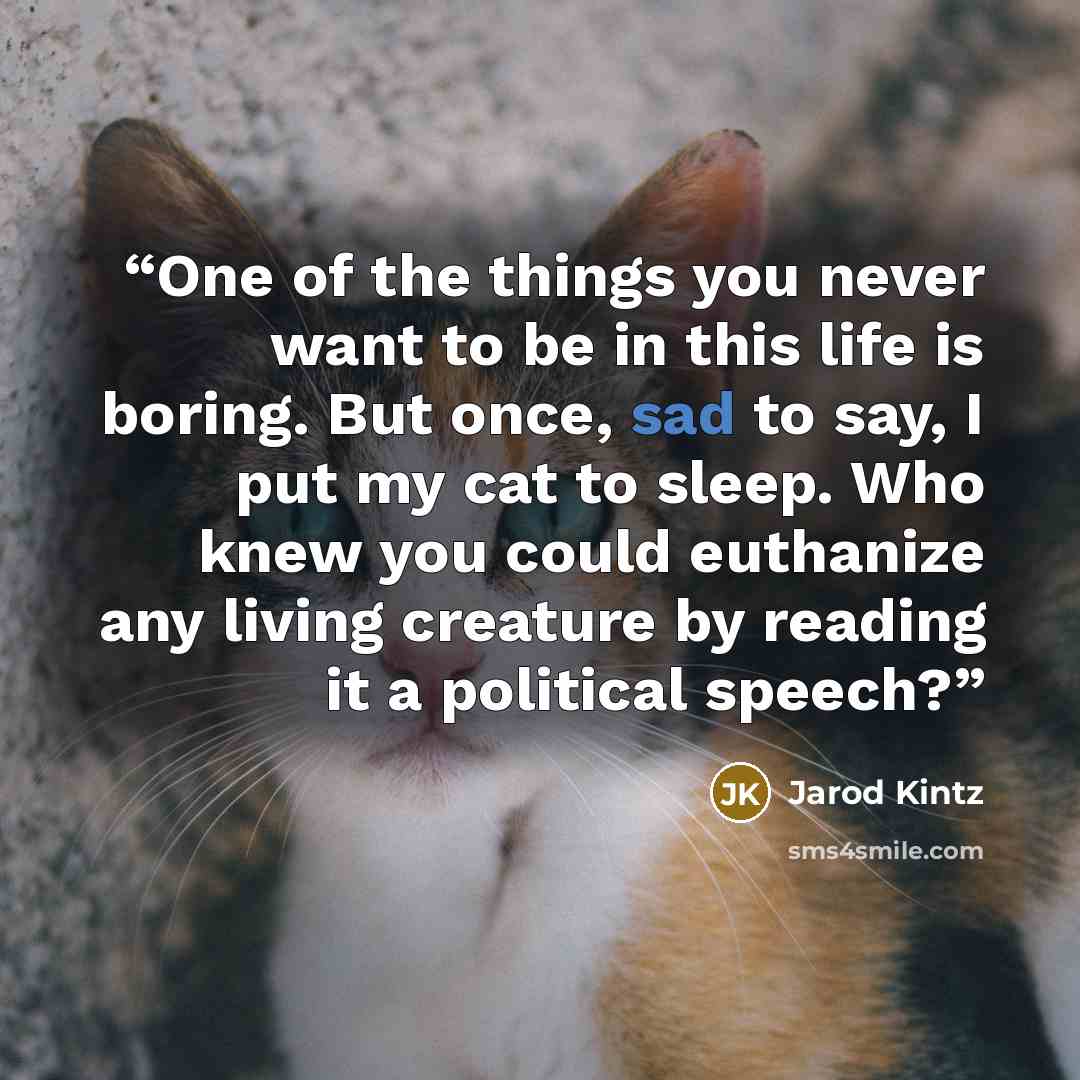 “One of the things you never want to be in this life is boring. But once, sad to say, I put my cat to sleep. Who knew you could euthanize any living creature by reading it a political speech?” quote by Jarod Kintz