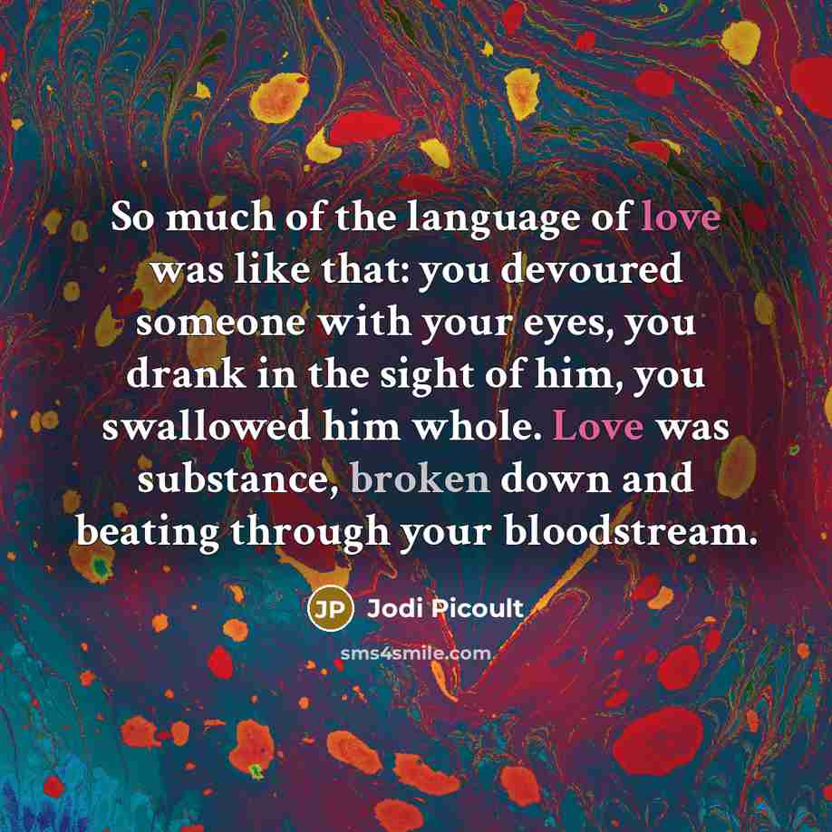 “So much of the language of love was like that:…” quote by Jodi Picoult