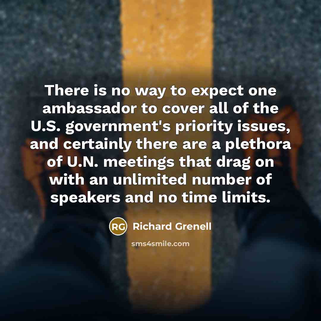 “There is no way to expect one ambassador to cover all of the U.S. government's priority issues, and certainly there are a plethora of U.N. meetings that drag on with an unlimited number of speakers and no time limits.” quote by Richard Grenell