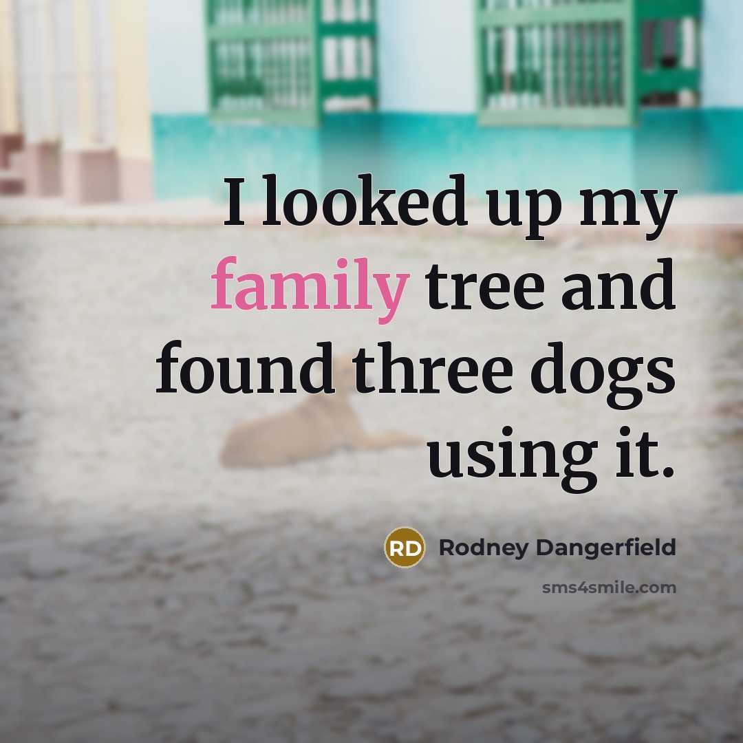 “I looked up my family tree and found three dogs…” quote by Rodney Dangerfield