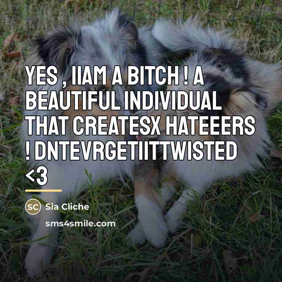 “Yes , iiAm A BITCH ! A Beautiful Individual That…” quote by Sia Cliche