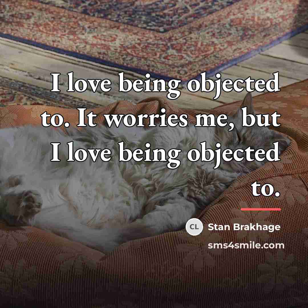 “I love being objected to. It worries me, but I…” quote by Stan Brakhage