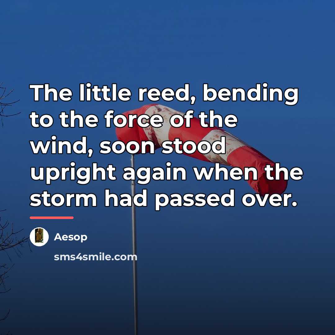 “The little reed, bending to the force of the wind,…” quote by Aesop