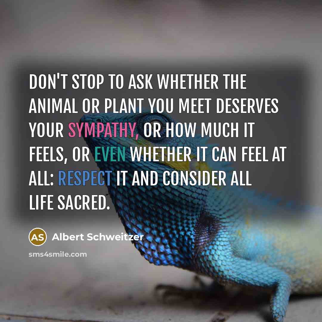 “Don't stop to ask whether the animal or plant you…” quote by Albert Schweitzer