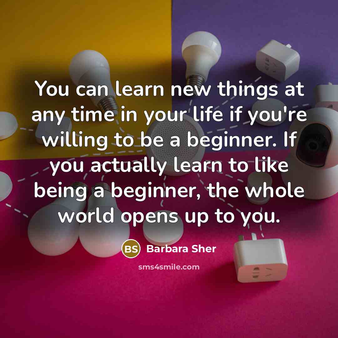 “You can learn new things at any time in your life if you're willing to be a beginner. If you actually learn to like being a beginner, the whole world opens up to you.” quote by Barbara Sher