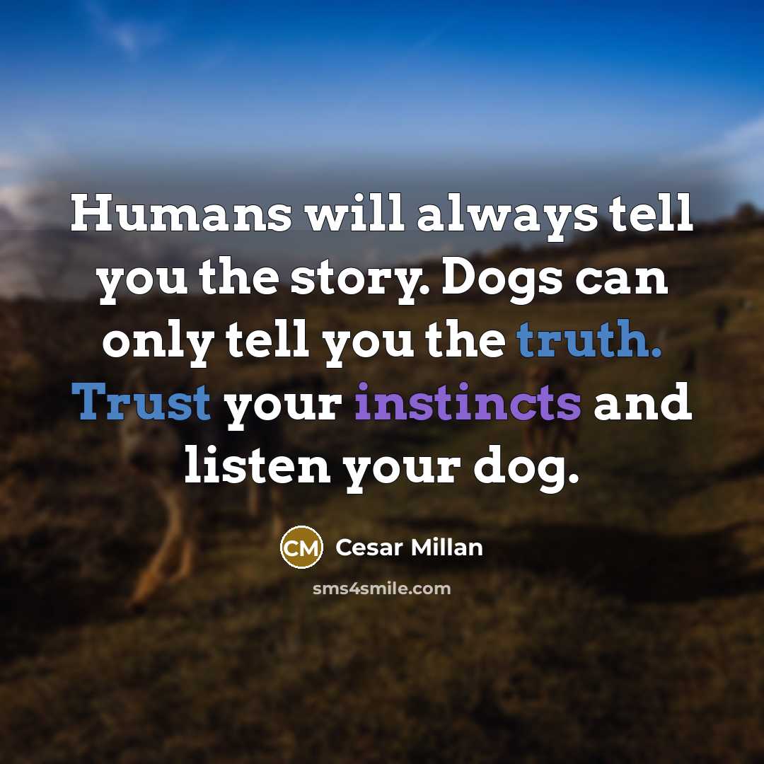“Humans will always tell you the story. Dogs can only tell you the truth. Trust your instincts and listen your dog.” quote by Cesar Millan
