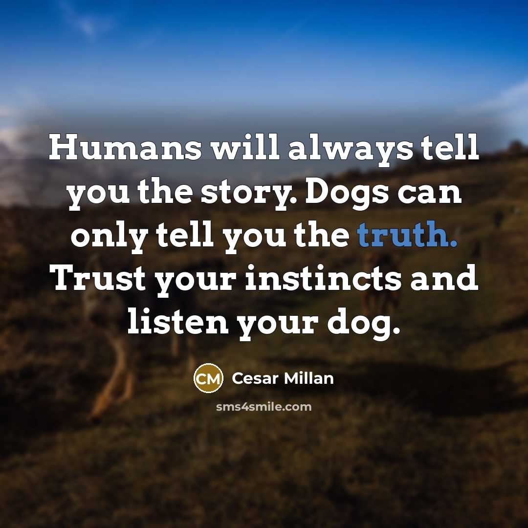 “Humans will always tell you the story. Dogs can only…” quote by Cesar Millan