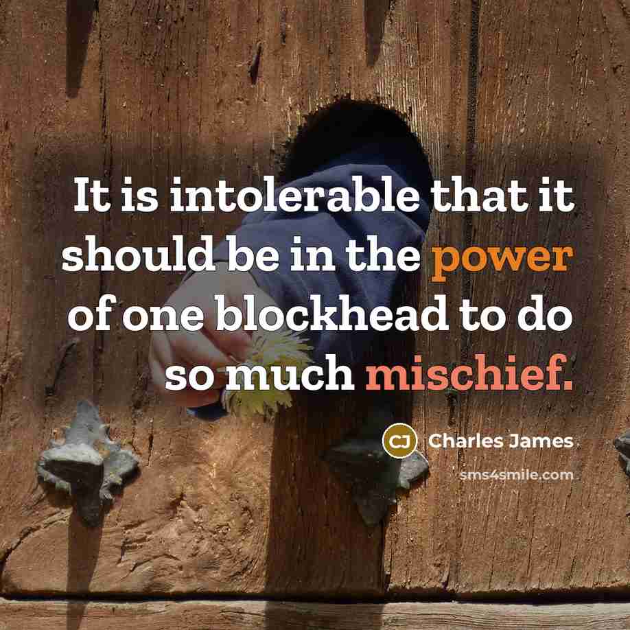 “It is intolerable that it should be in the power…” quote by Charles James