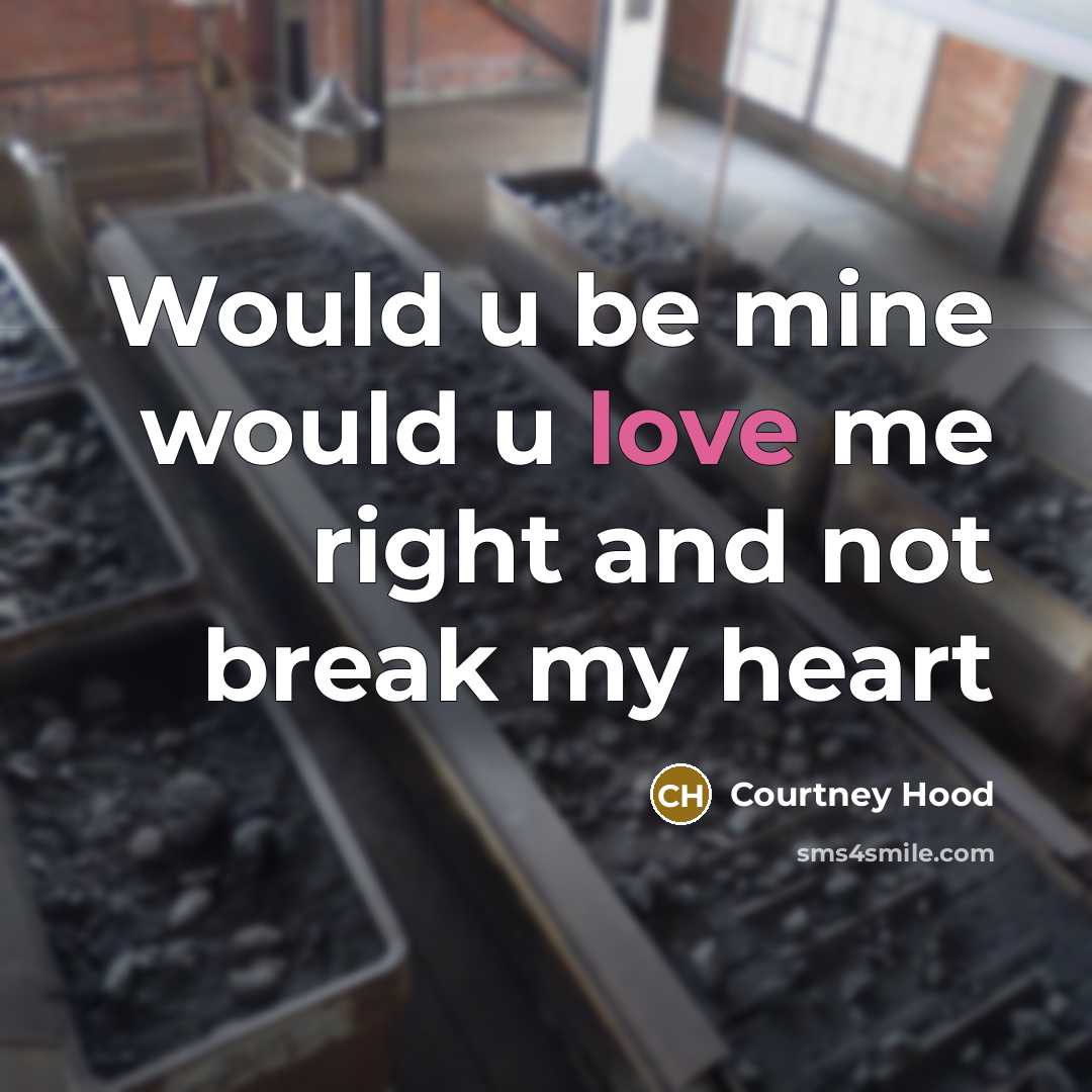 “Would u be mine would u love me right and not break my heart” quote by Courtney Hood