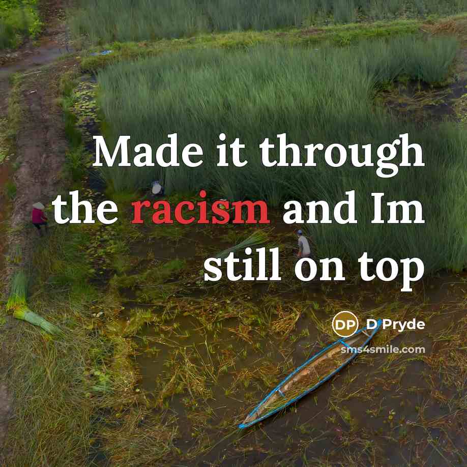 “Made it through the racism and Im still on top…” quote by D Pryde