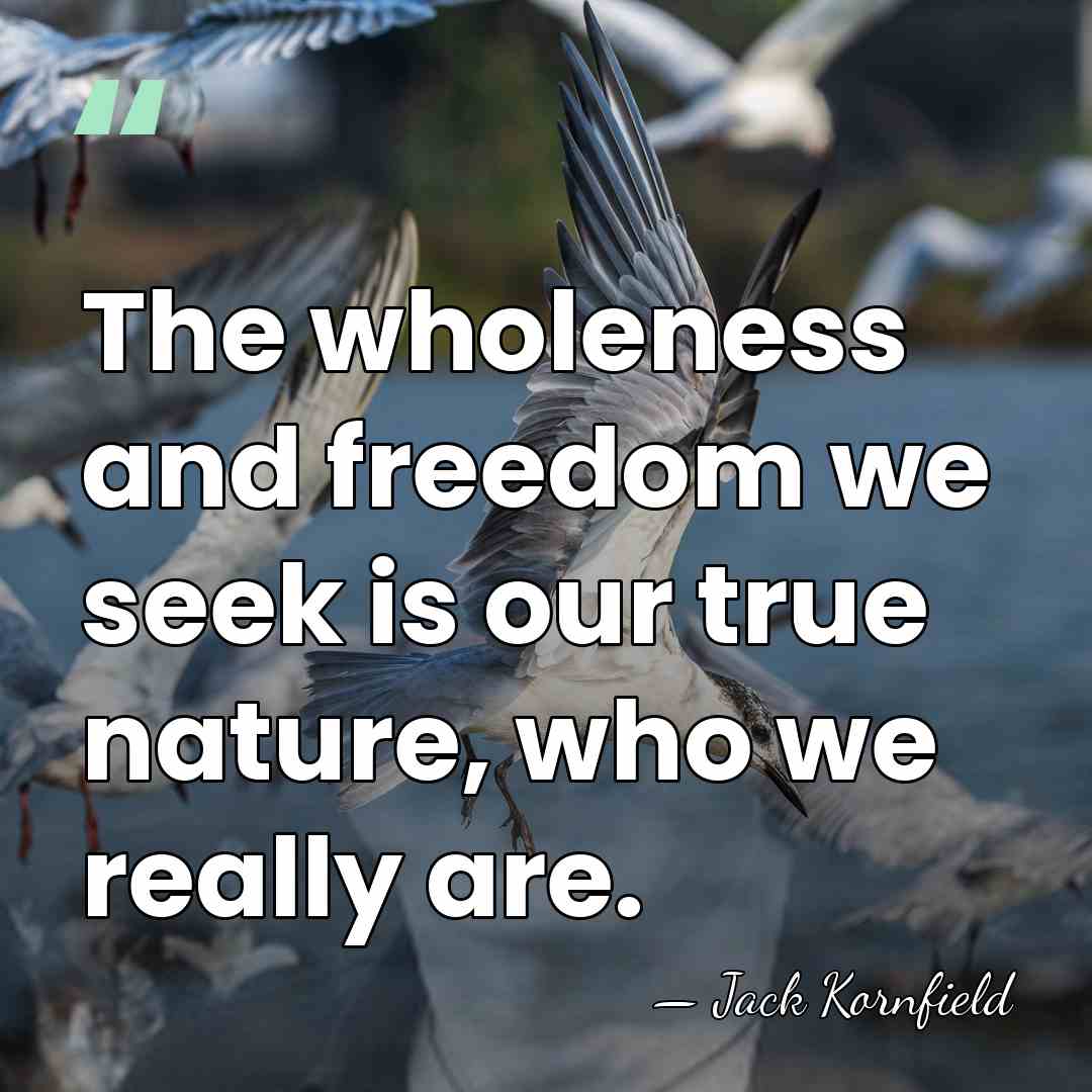 The wholeness and freedom we seek is our true nature, who we&hellip; - Jack Kornfield