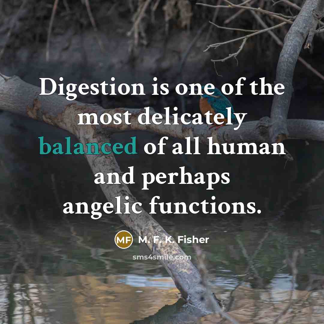 “Digestion is one of the most delicately balanced of all…” quote by M. F. K. Fisher