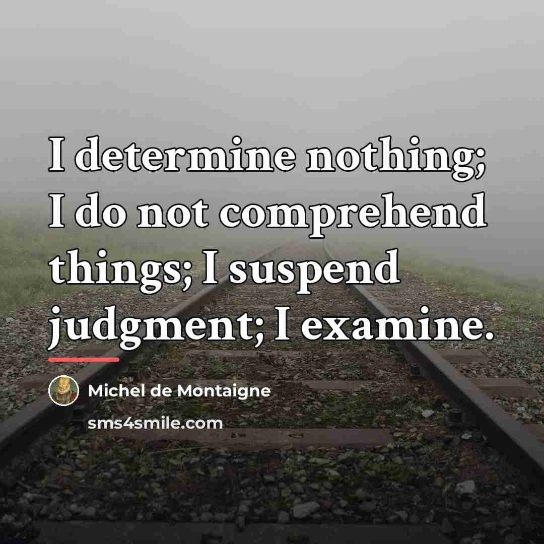 “I determine nothing; I do not comprehend things; I suspend…” quote by Michel de Montaigne