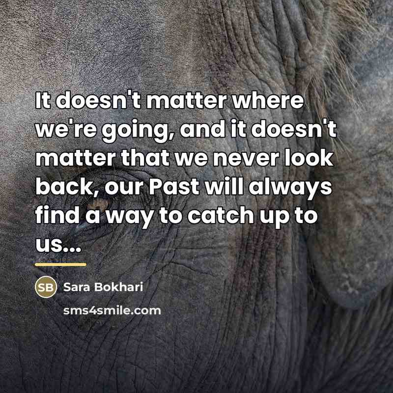 “It doesn't matter where we're going, and it doesn't matter…” quote by Sara Bokhari