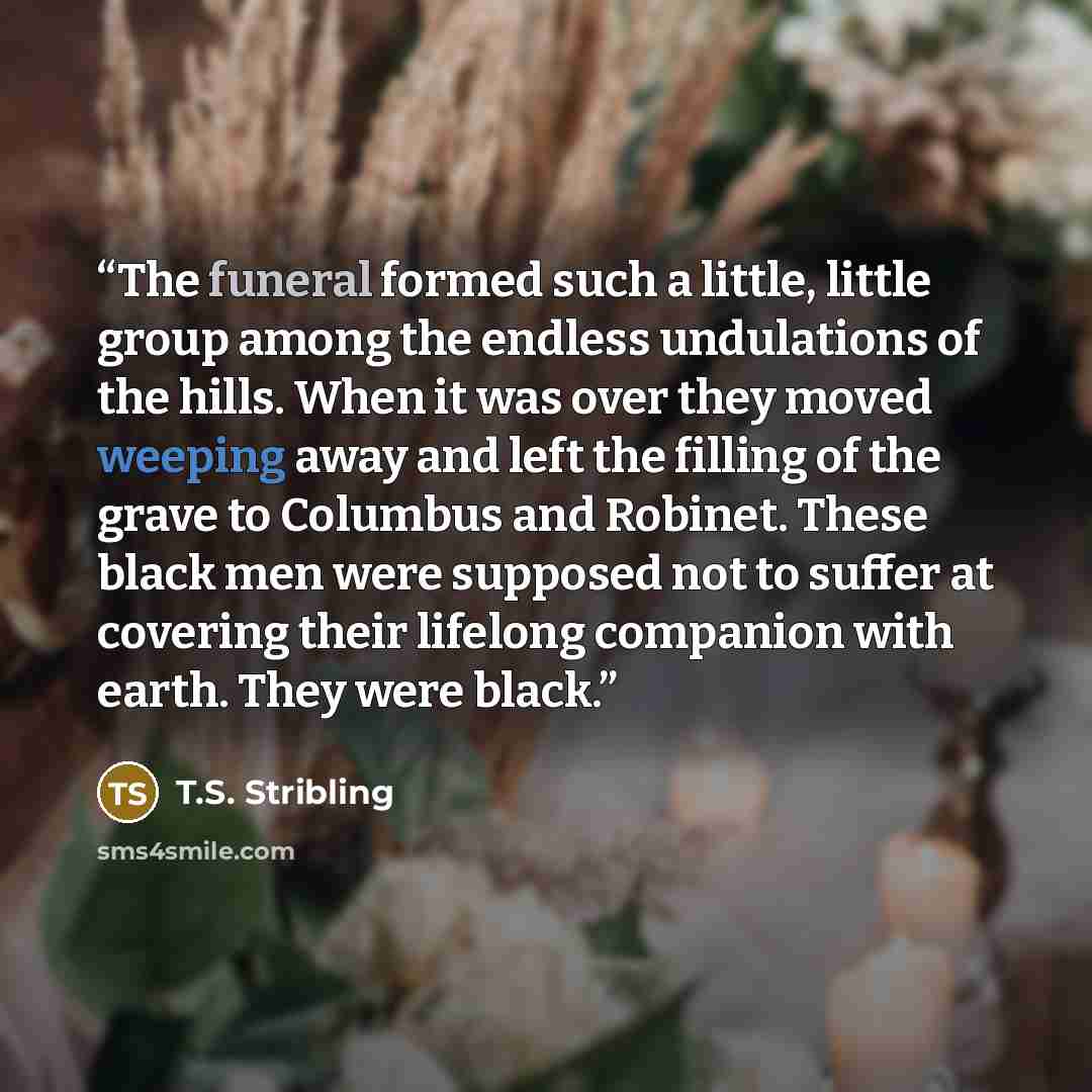 “The funeral formed such a little, little group among the endless undulations of the hills. When it was over they moved weeping away and left the filling of the grave to Columbus and Robinet. These black men were supposed not to suffer at covering their lifelong companion with earth. They were black.” quote by T.S. Stribling