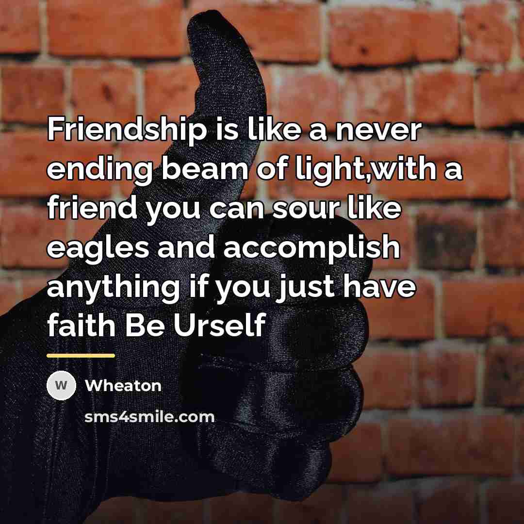 “Friendship is like a never ending beam of light,with a…” quote by Wheaton