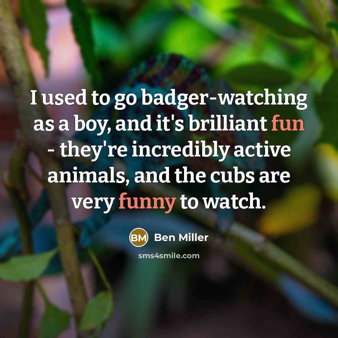 “I used to go badger-watching as a boy, and it's brilliant fun - they're incredibly active animals, and the cubs are very funny to watch.” quote by Ben Miller