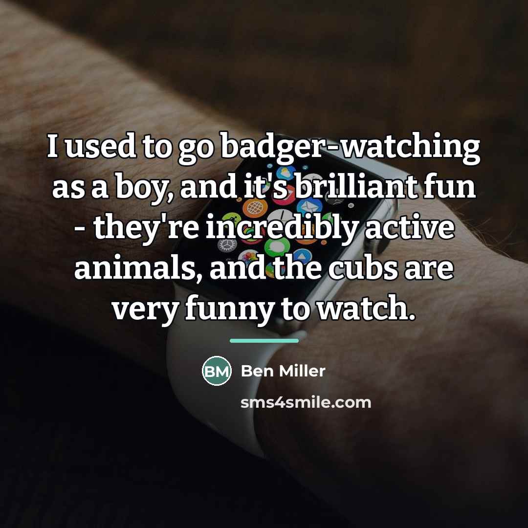 “I used to go badger-watching as a boy, and it's…” quote by Ben Miller