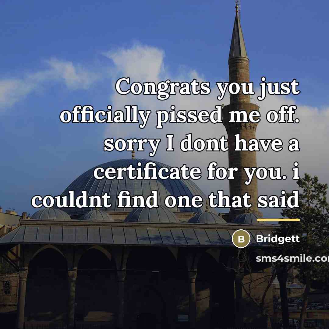 “Congrats you just officially pissed me off. sorry I dont…” quote by Bridgett