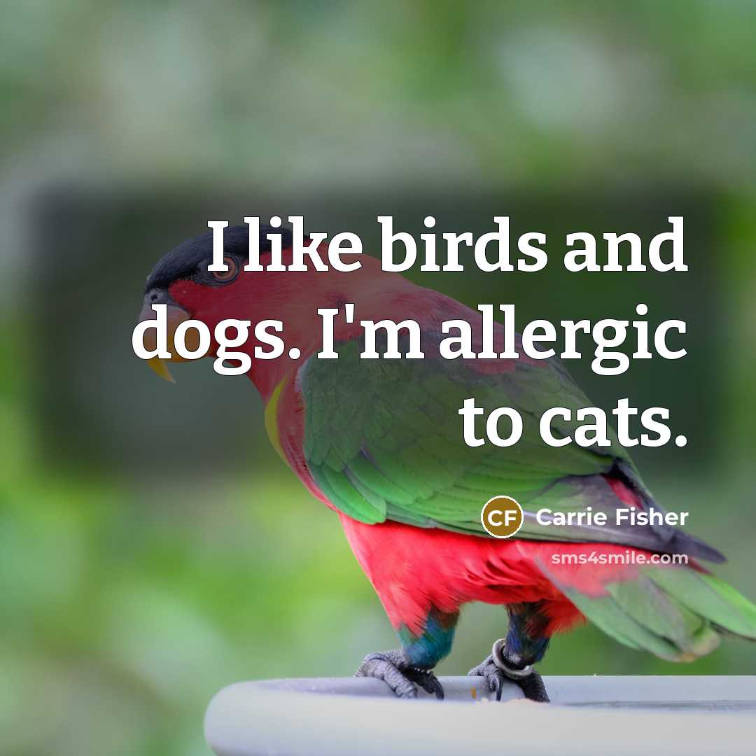 “I like birds and dogs. I'm allergic to cats.…” quote by Carrie Fisher