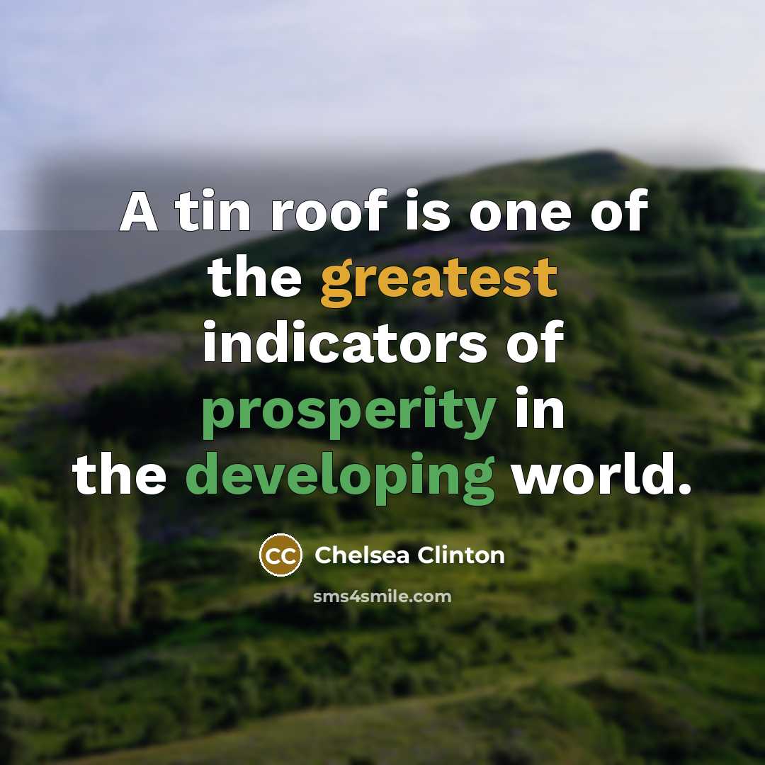 “A tin roof is one of the greatest indicators of…” quote by Chelsea Clinton