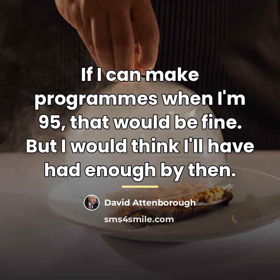 “If I can make programmes when I'm 95, that would…” quote by David Attenborough