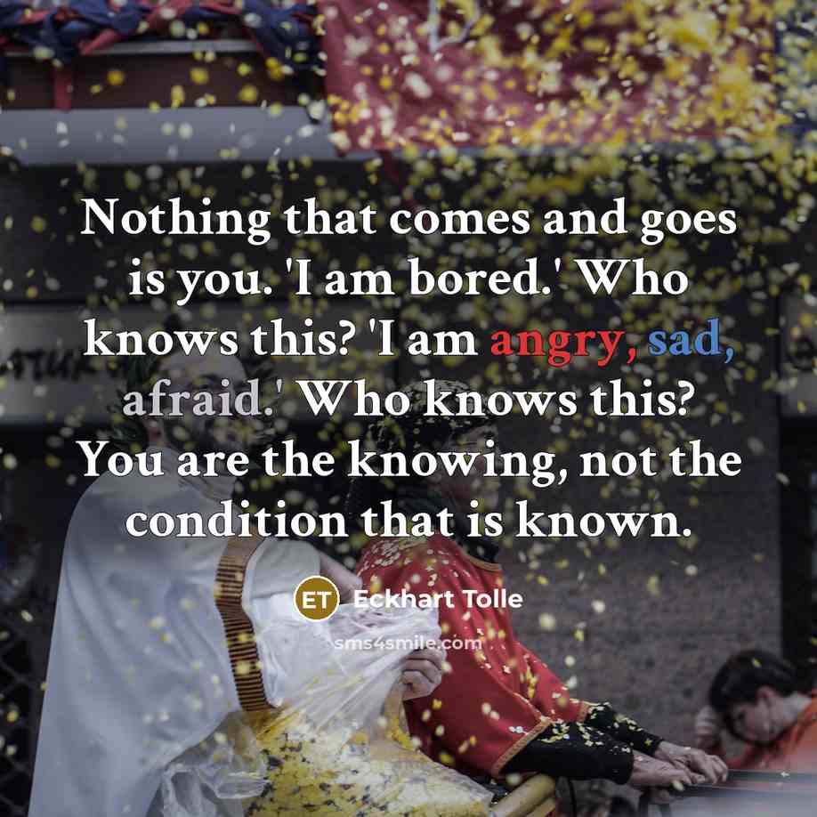 “Nothing that comes and goes is you. 'I am bored.'…” quote by Eckhart Tolle