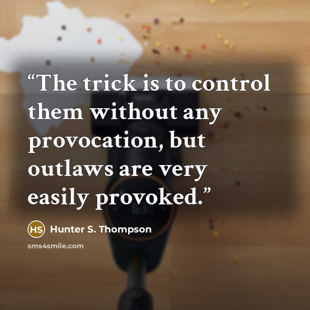“The trick is to control them without any provocation, but outlaws are very easily provoked.” quote by Hunter S. Thompson