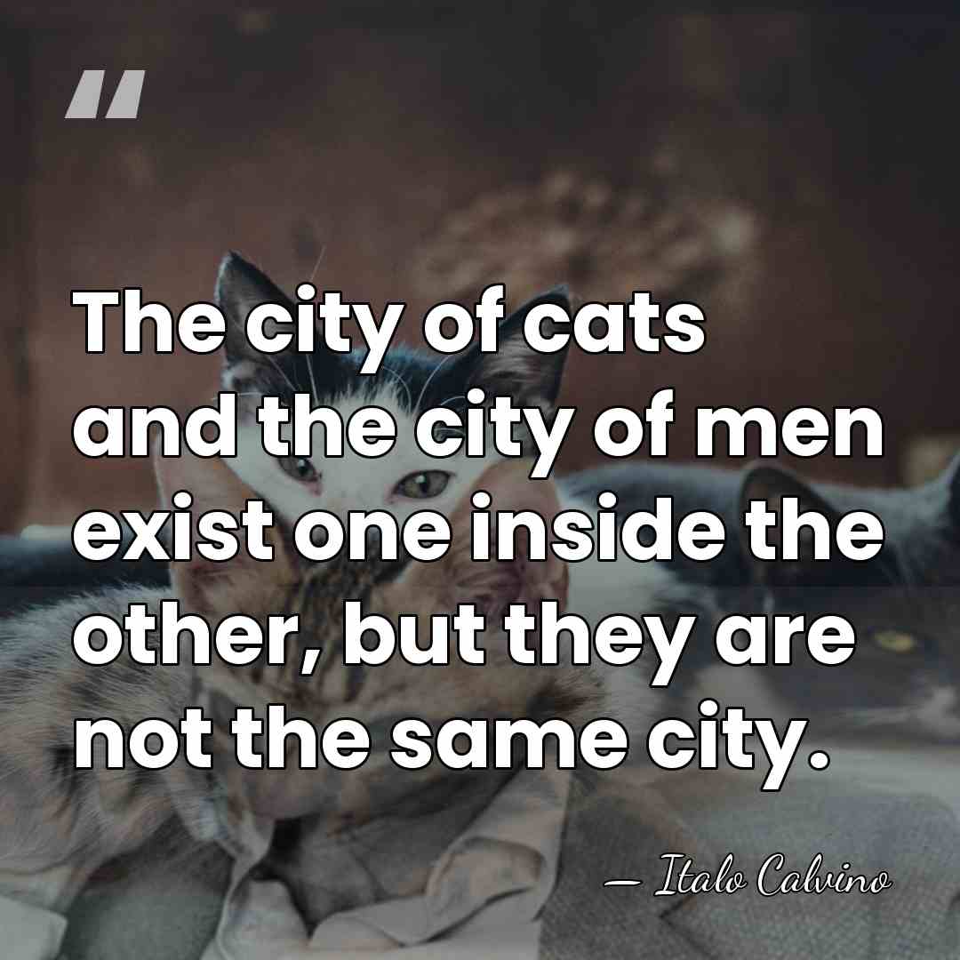 The city of cats and the city of men exist one inside&hellip; - Italo Calvino