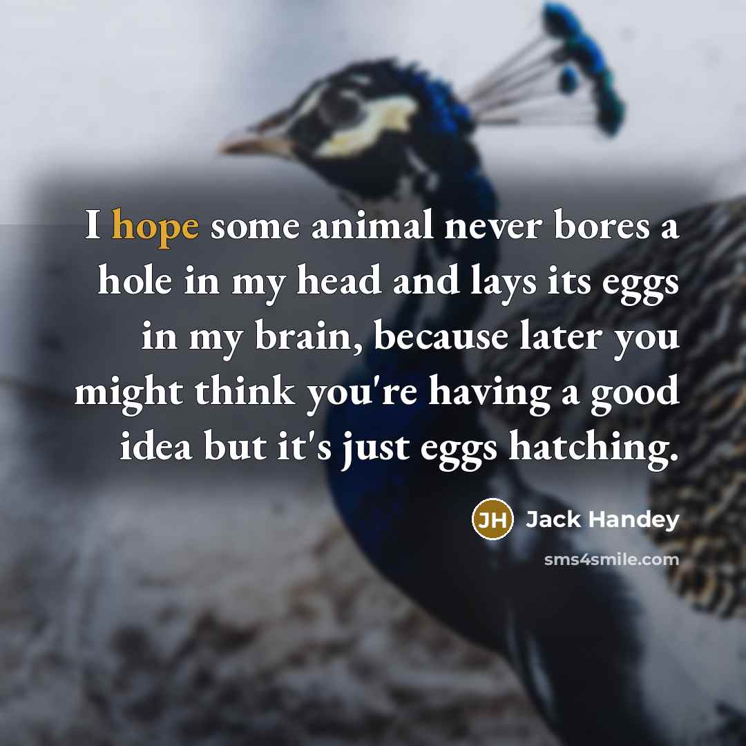 “I hope some animal never bores a hole in my…” quote by Jack Handey