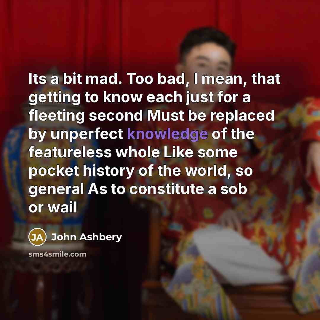 “Its a bit mad. Too bad, I mean, that getting…” quote by John Ashbery