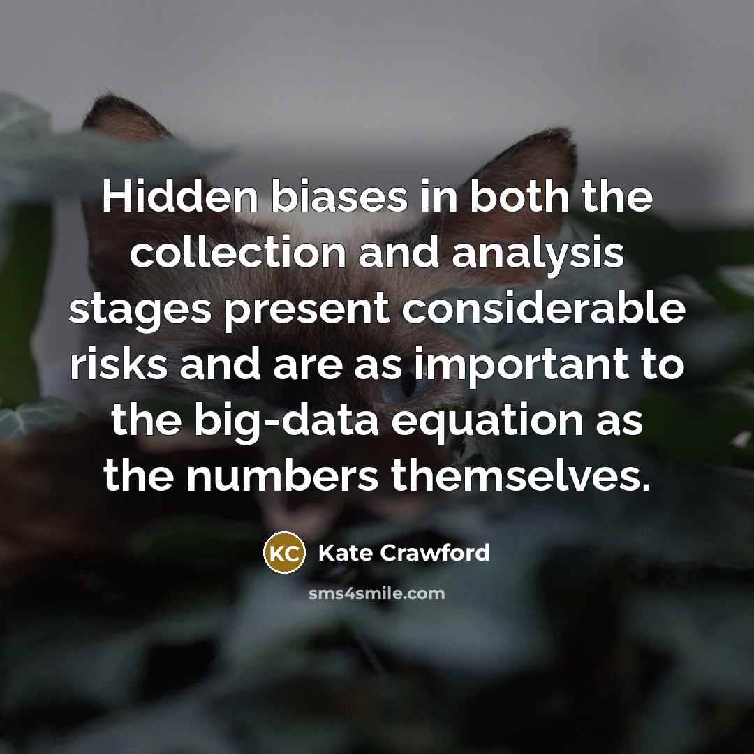 “Hidden biases in both the collection and analysis stages present…” quote by Kate Crawford