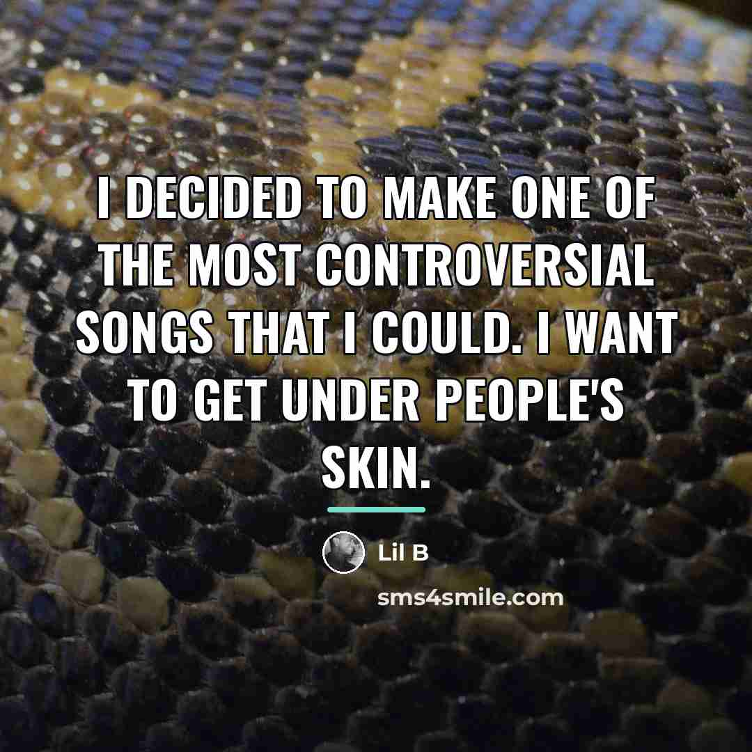 “I decided to make one of the most controversial songs…” quote by Lil B