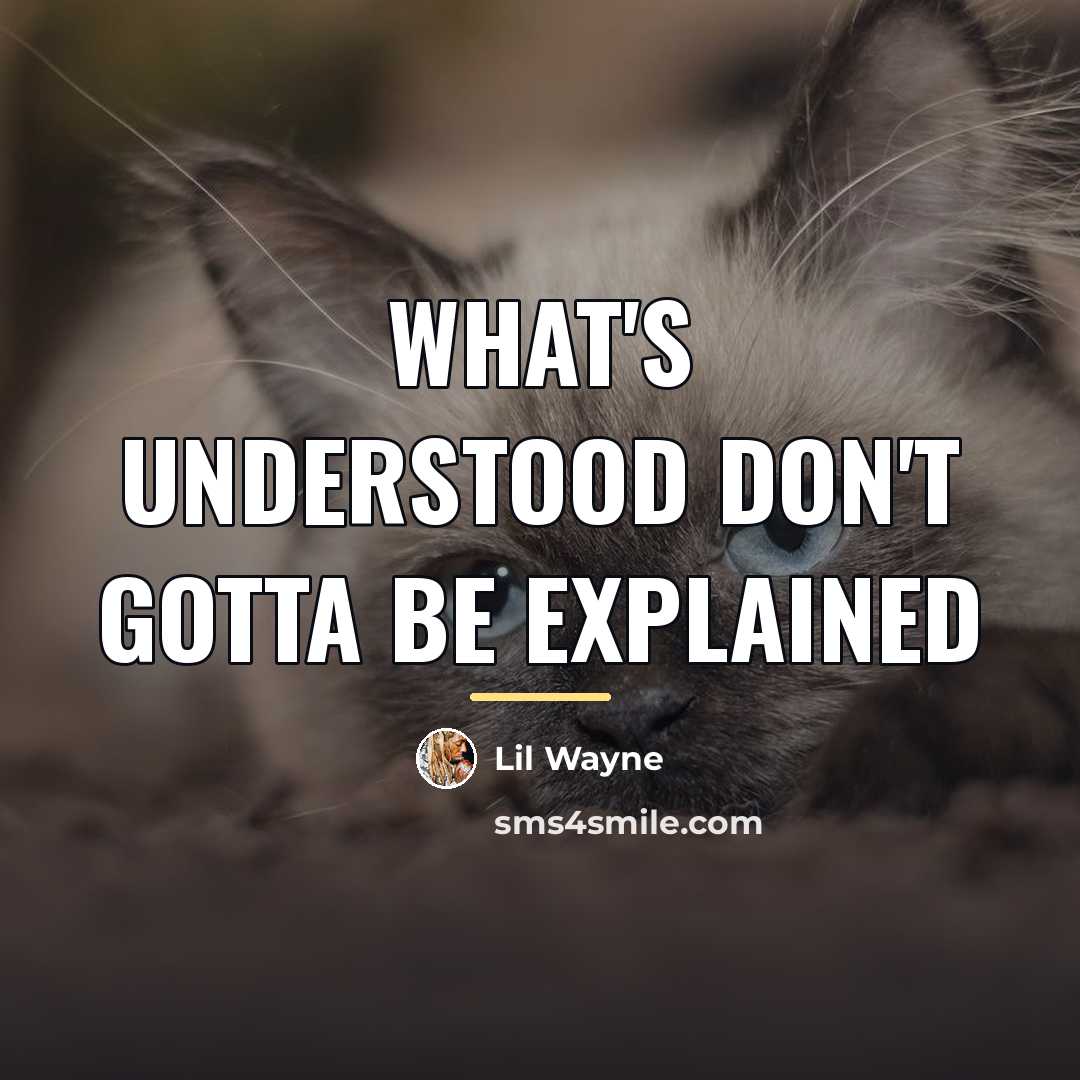 “What's understood don't gotta be explained…” quote by Lil Wayne