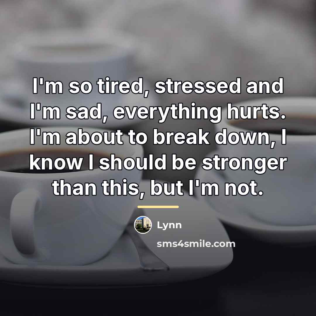 “I'm so tired, stressed and I'm sad, everything hurts. I'm…” quote by Lynn