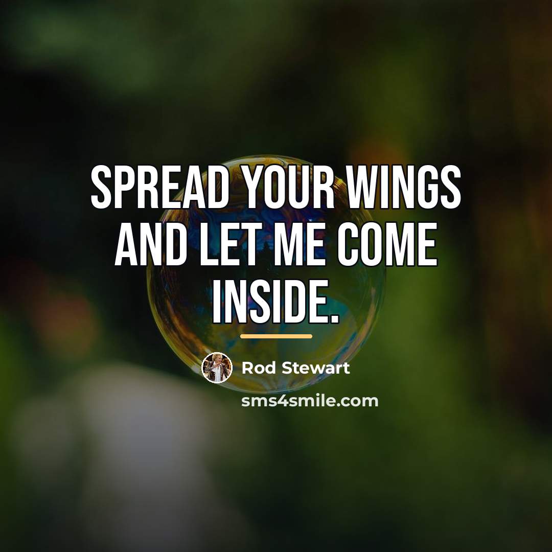“Spread your wings and let me come inside.…” quote by Rod Stewart