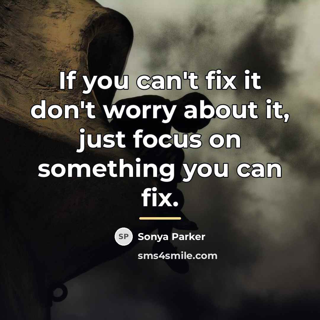 “If you can't fix it don't worry about it, just…” quote by SONYA PARKER