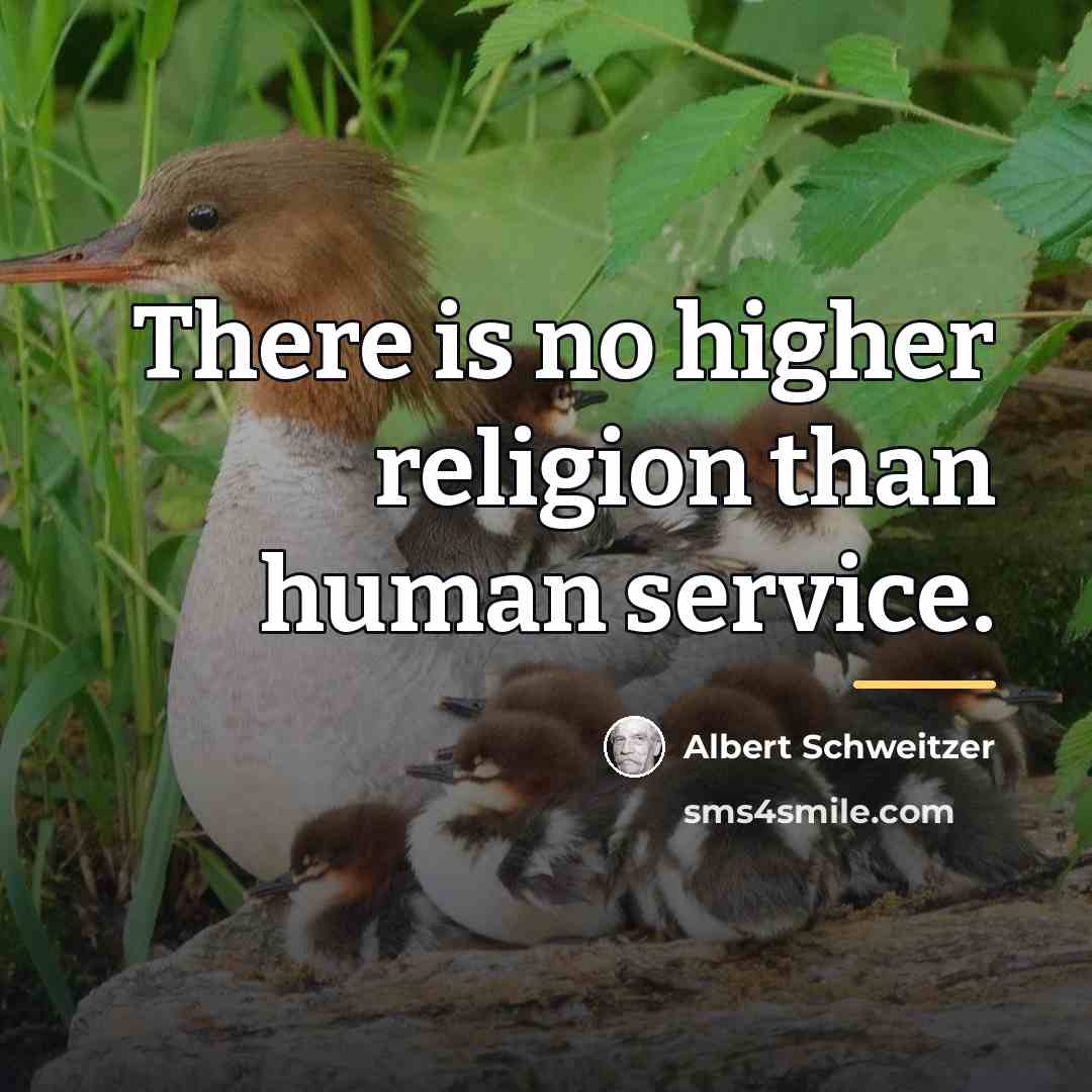 “There is no higher religion than human service.…” quote by Albert Schweitzer