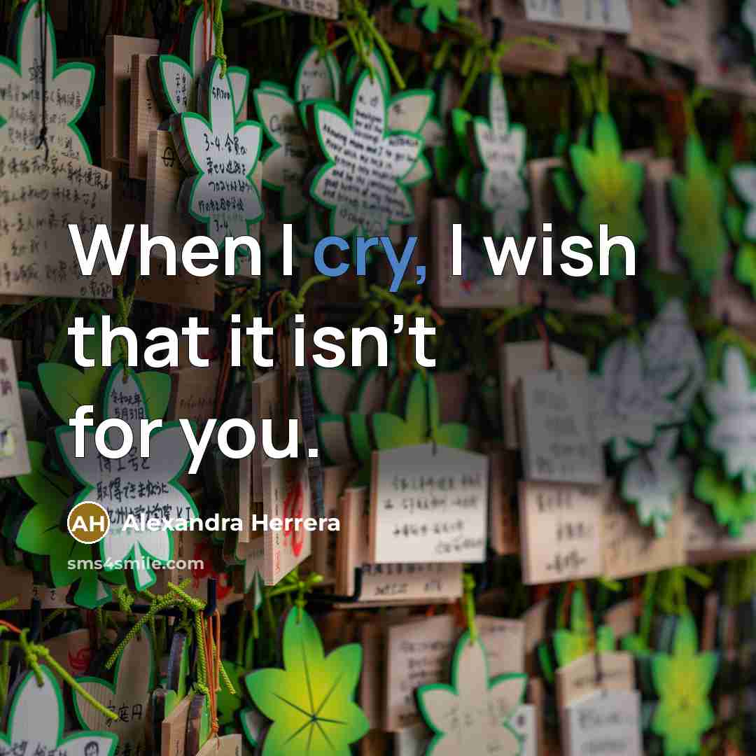 “When I cry, I wish that it isn't for you.…” quote by Alexandra Herrera