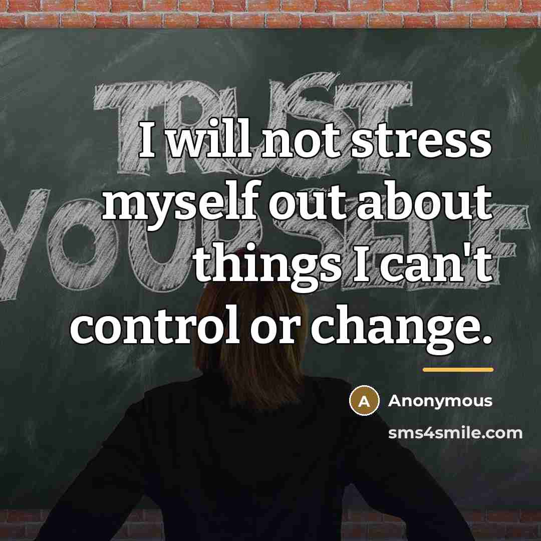 “I will not stress myself out about things I can't…” quote by Anonymous