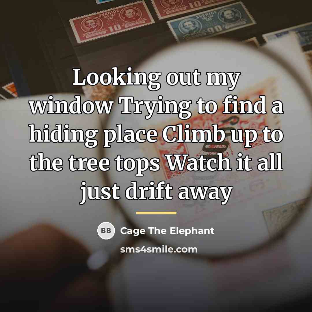 “Looking out my window Trying to find a hiding place…” quote by Cage The Elephant