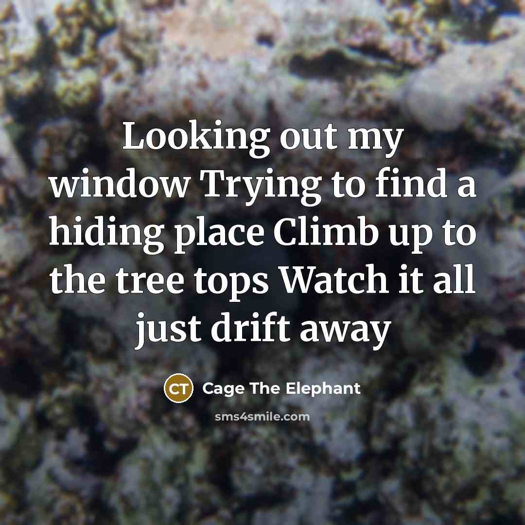 “Looking out my window Trying to find a hiding place Climb up to the tree tops Watch it all just drift away” quote by Cage The Elephant