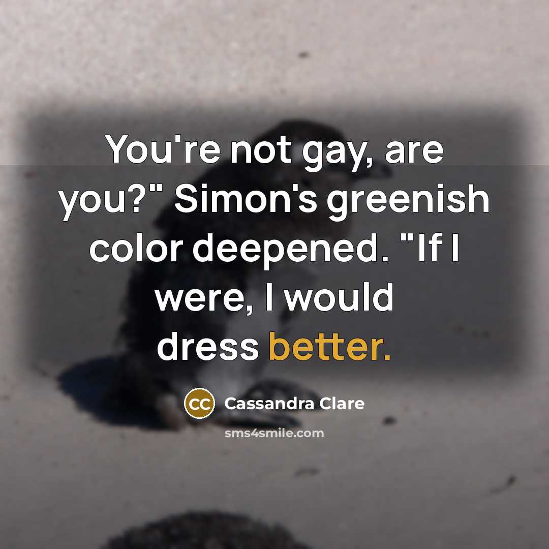 “You're not gay, are you?" Simon's greenish color deepened. "If I were, I would dress better.” quote by Cassandra Clare