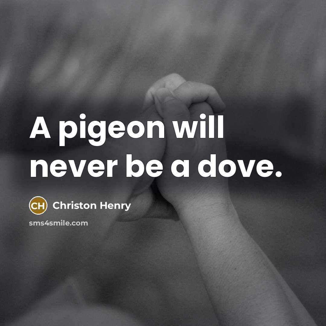“A pigeon will never be a dove.…” quote by Christon Henry