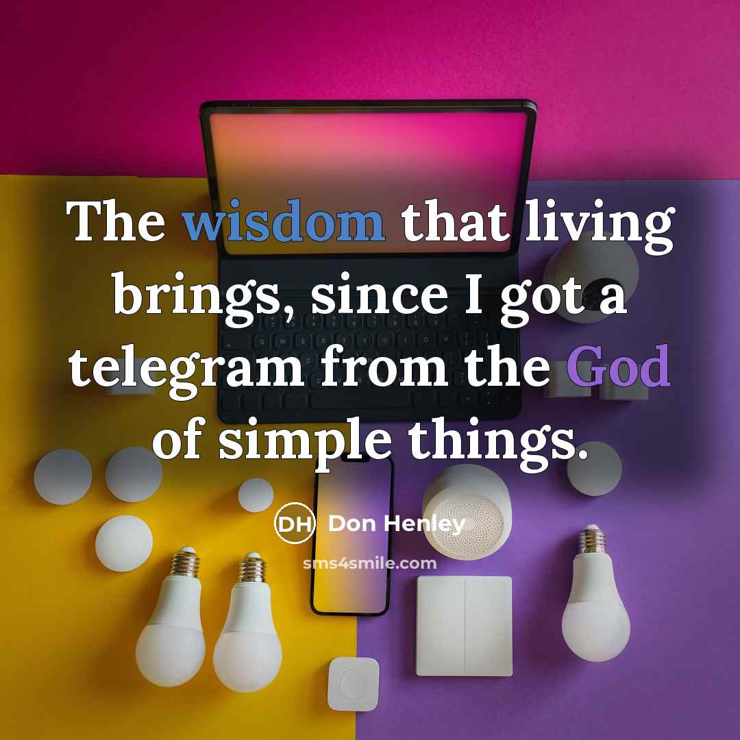 “The wisdom that living brings, since I got a telegram…” quote by Don Henley
