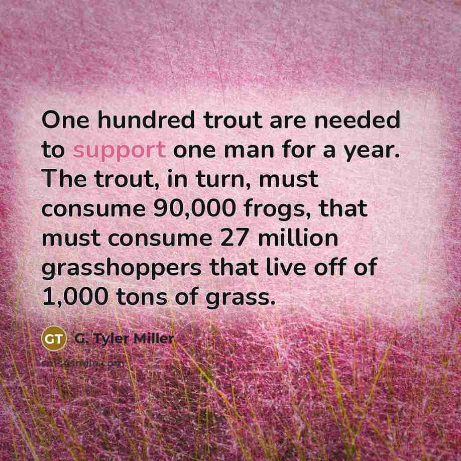 “One hundred trout are needed to support one man for…” quote by G. Tyler Miller