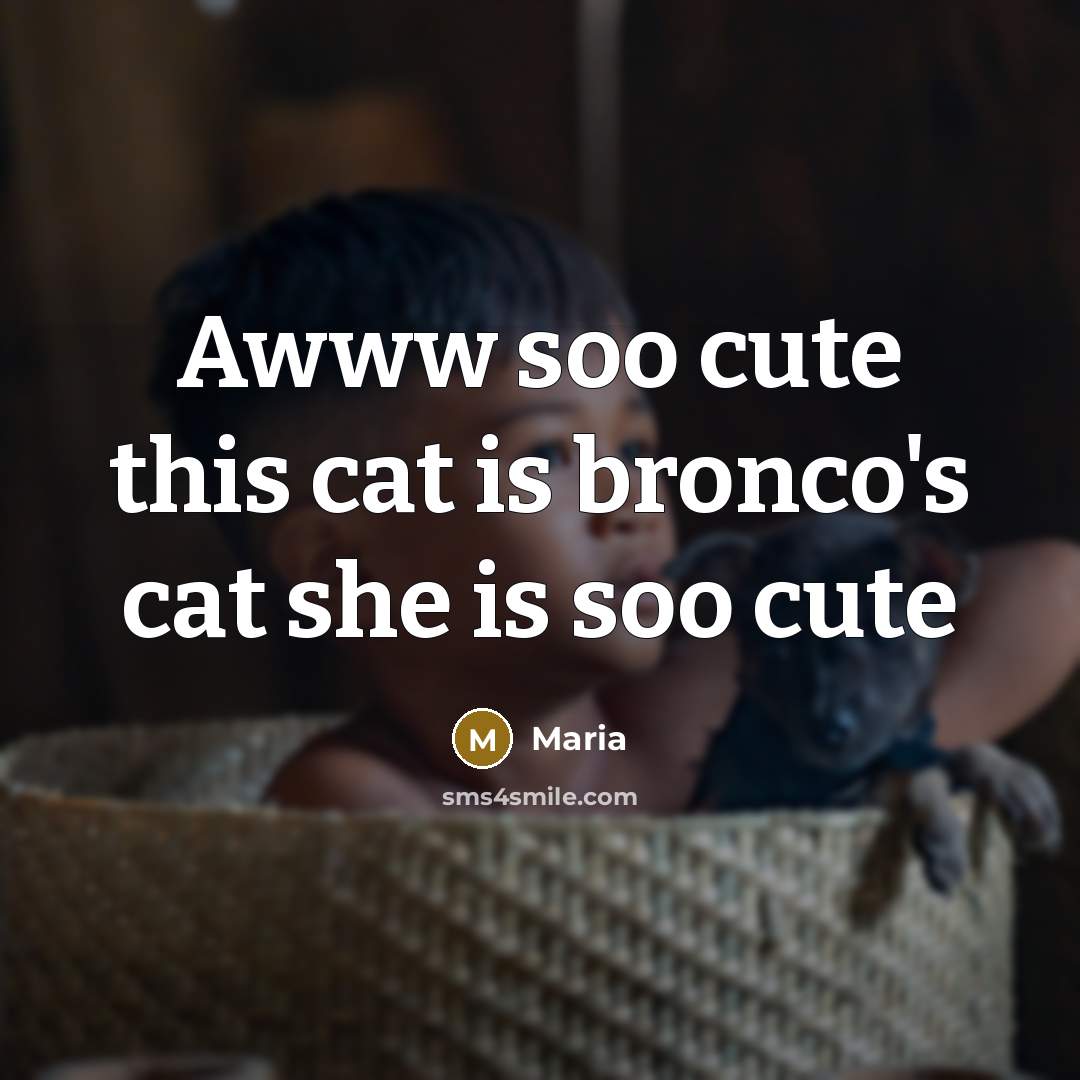“Awww soo cute this cat is bronco's cat she is…” quote by Maria