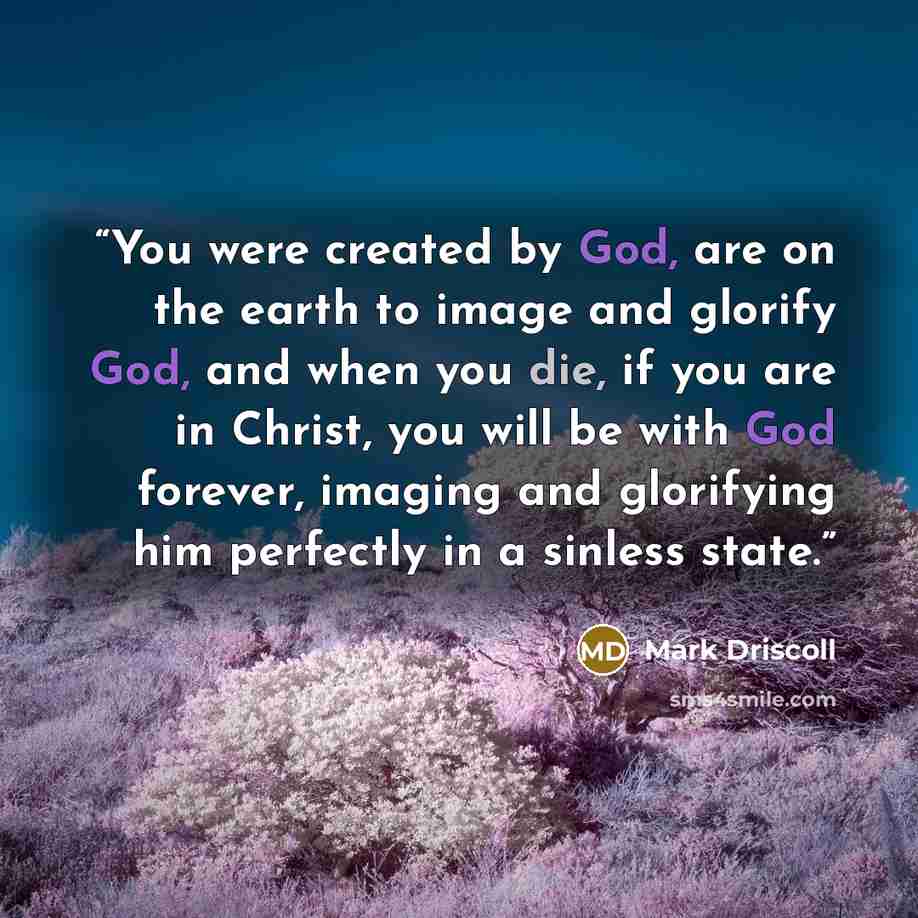 “You were created by God, are on the earth to image and glorify God, and when you die, if you are in Christ, you will be with God forever, imaging and glorifying him perfectly in a sinless state.” quote by Mark Driscoll