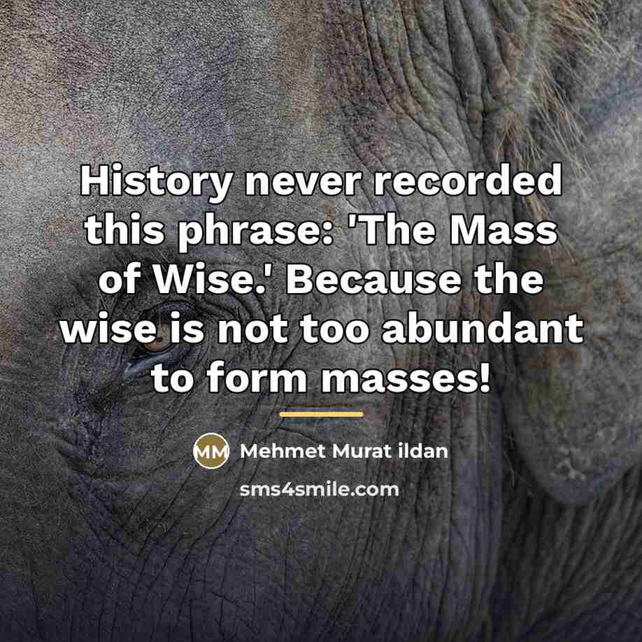 “History never recorded this phrase: 'The Mass of Wise.' Because…” quote by Mehmet Murat Ildan